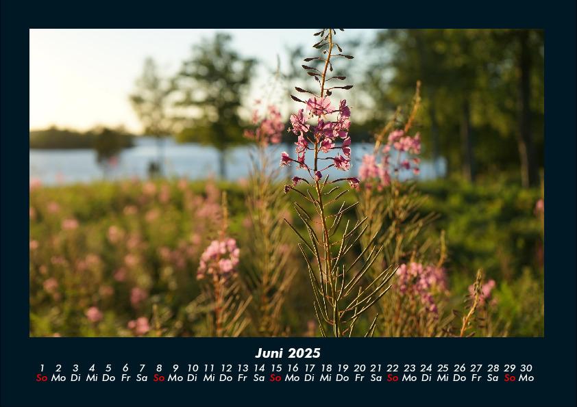 Bild: 9783755992325 | Blumenträume 2025 Fotokalender DIN A4 | Tobias Becker | Kalender