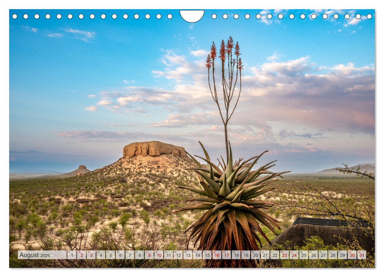 Bild: 9783383841705 | Abenteuerliches Namibia (Wandkalender 2025 DIN A4 quer), CALVENDO...