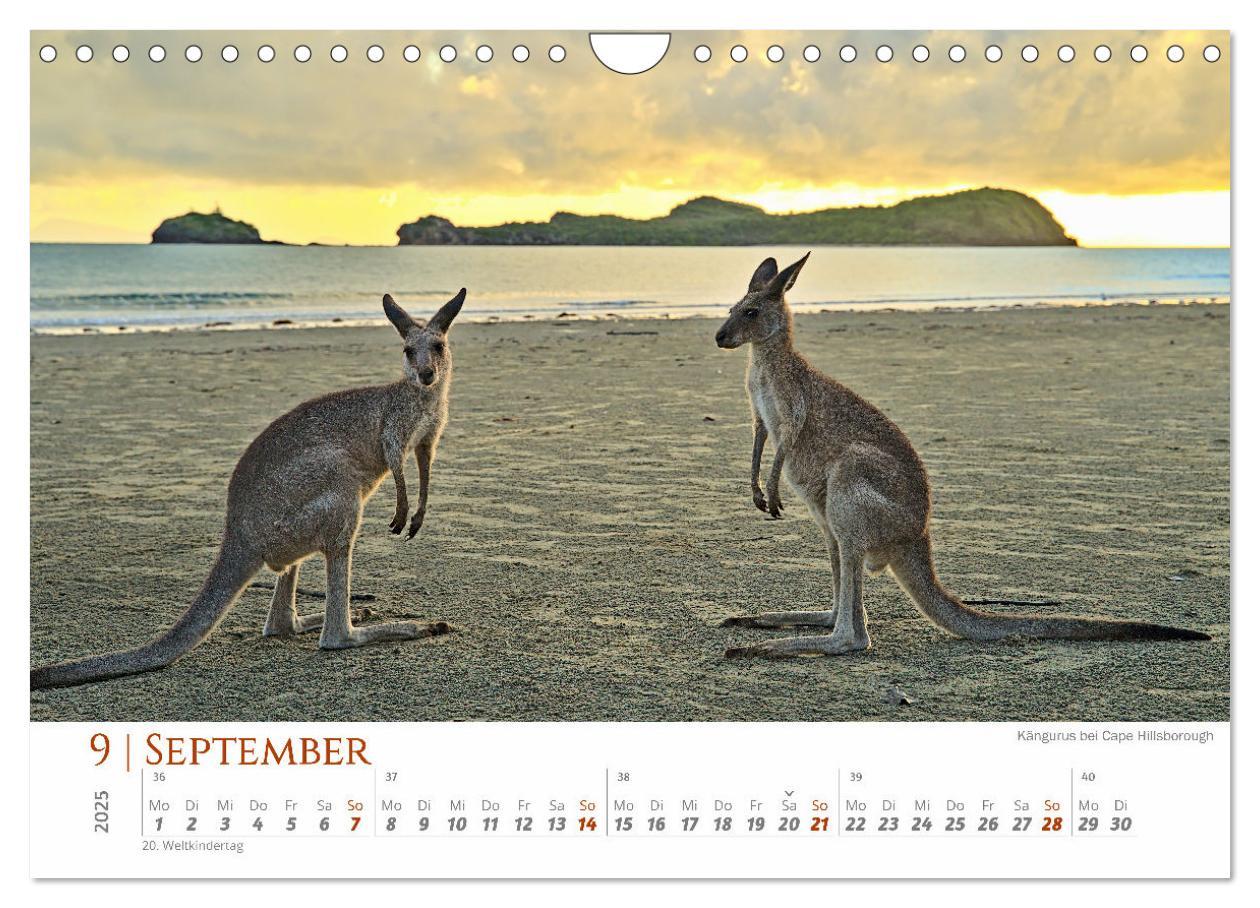 Bild: 9783383798825 | Australien - Norden Cairns-Brisbane (Wandkalender 2025 DIN A4...