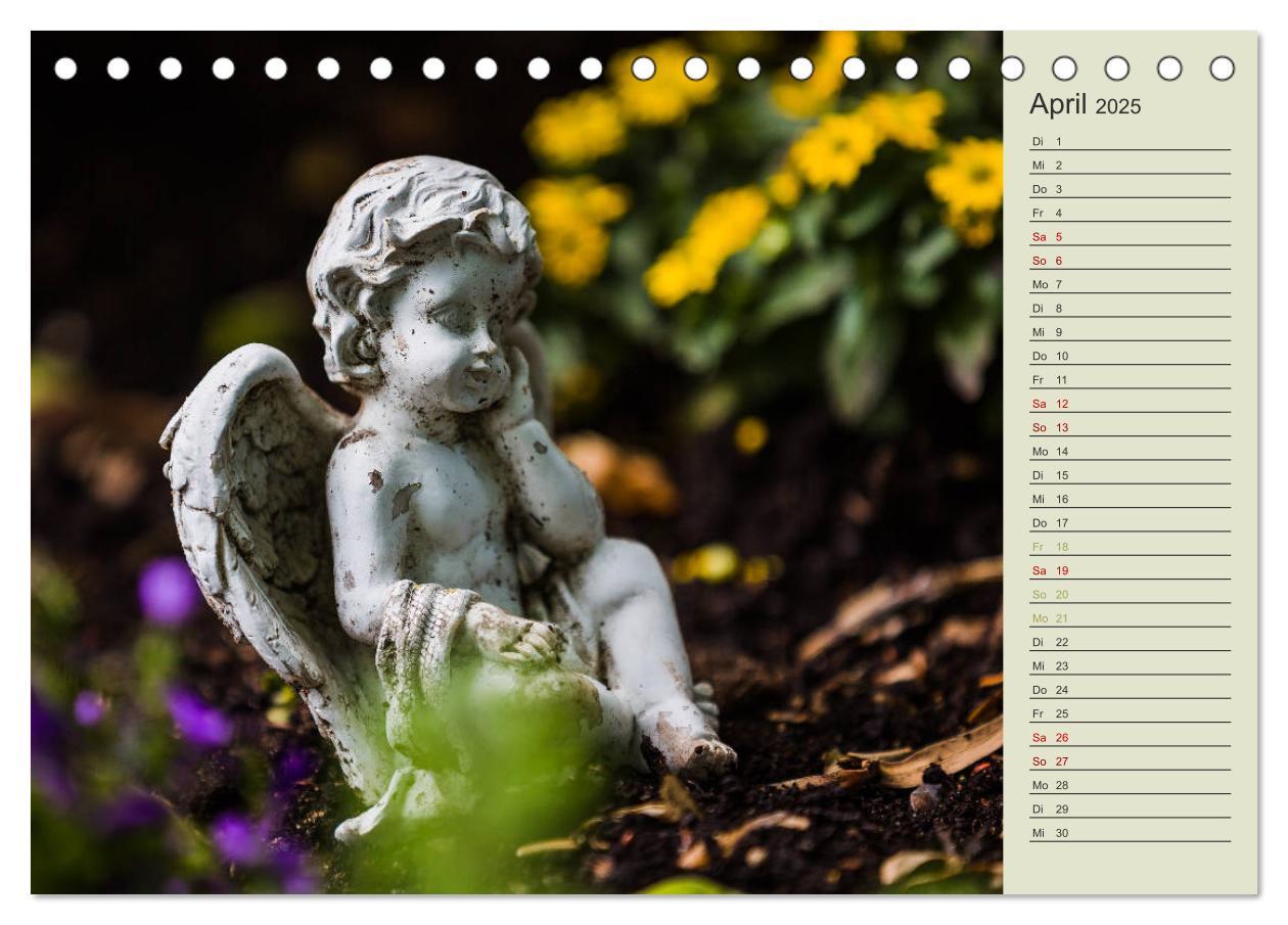 Bild: 9783435370818 | Engel - Begleiter für jeden Tag (Tischkalender 2025 DIN A5 quer),...
