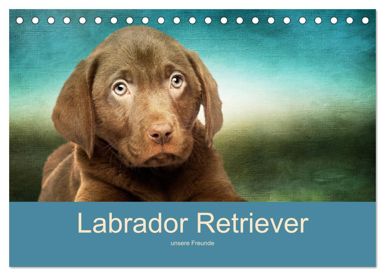 Cover: 9783435160242 | Labrador Retriever unsere Freunde (Tischkalender 2025 DIN A5 quer),...