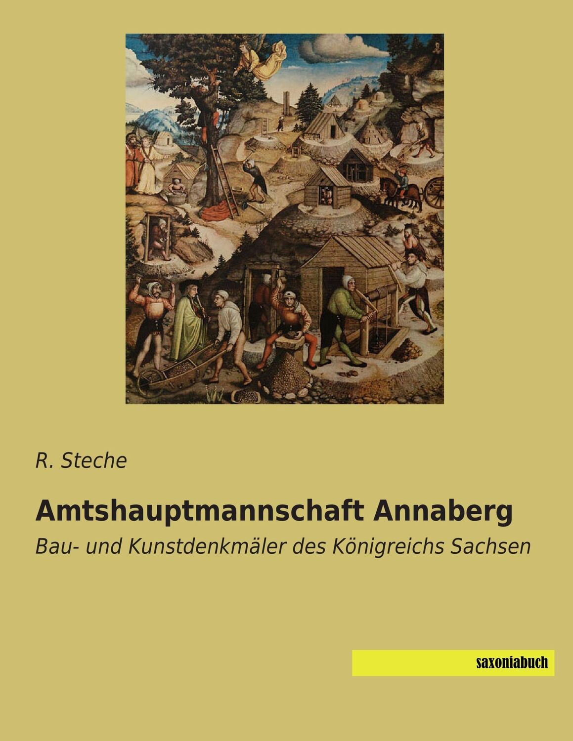 Cover: 9783957704160 | Amtshauptmannschaft Annaberg | R. Steche | Taschenbuch | Paperback