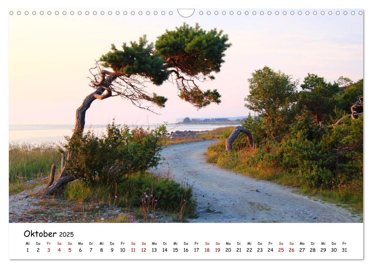 Bild: 9783435075249 | Gotland Impressionen (Wandkalender 2025 DIN A3 quer), CALVENDO...