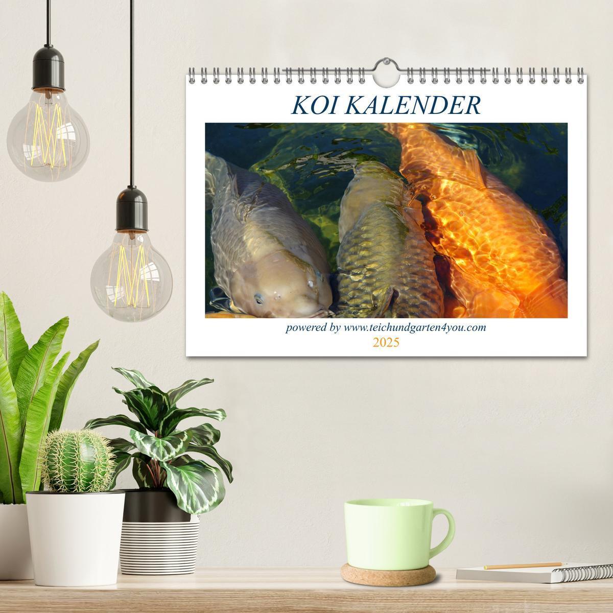 Bild: 9783435178148 | Koikichi Kalender 2025 (Wandkalender 2025 DIN A4 quer), CALVENDO...