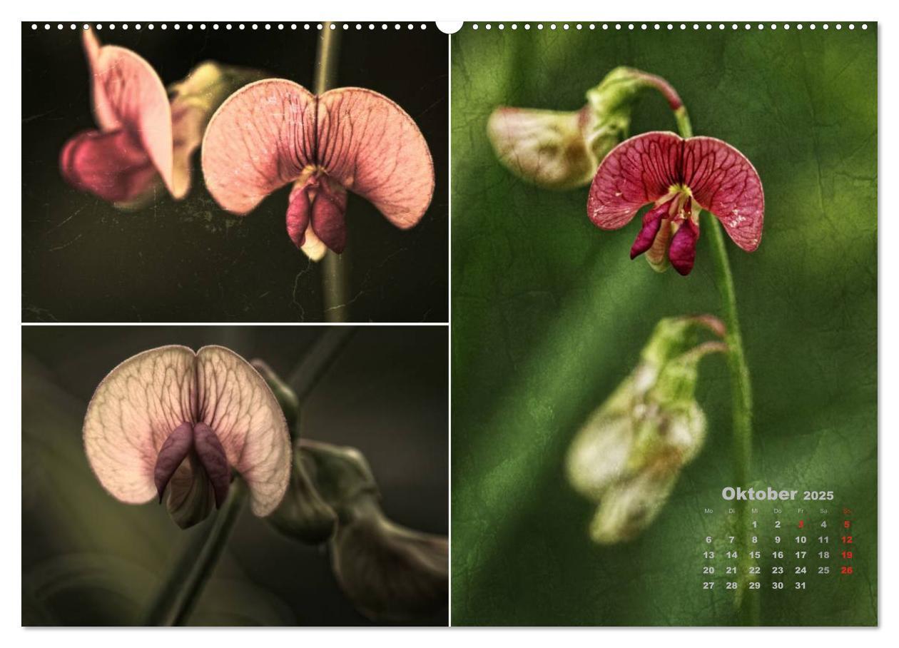 Bild: 9783435611713 | Blumenreise 2025 (Wandkalender 2025 DIN A2 quer), CALVENDO...