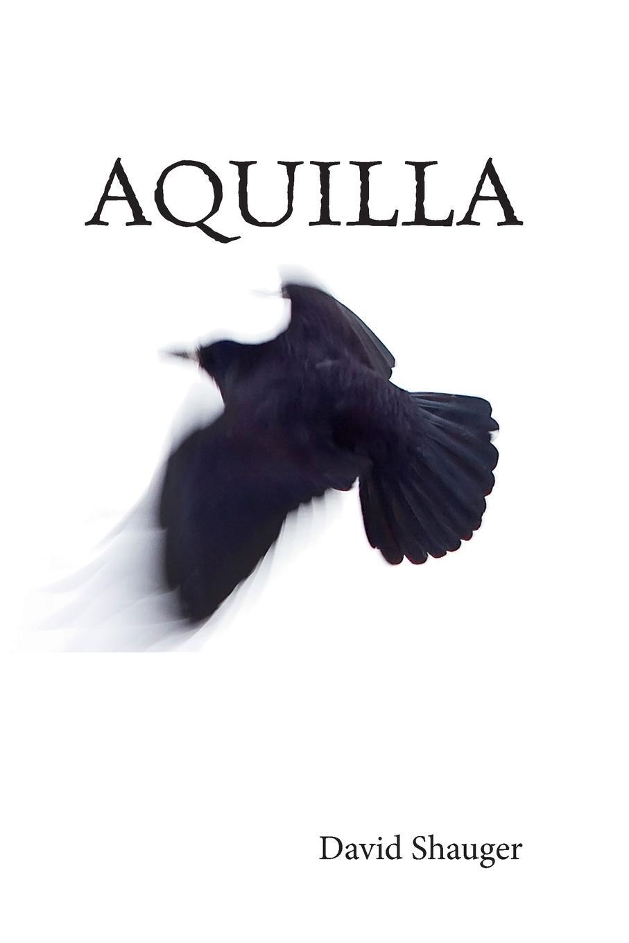 Cover: 9780991228362 | Aquilla | David Shauger | Taschenbuch | Paperback | Englisch | 2015