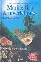 Cover: 9780954406028 | Marine Fish &amp; Invertebrates of Northern Europe | Svensen (u. a.)