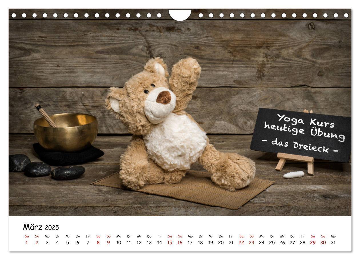 Bild: 9783435254767 | Eddy, der Teddy (Wandkalender 2025 DIN A4 quer), CALVENDO...