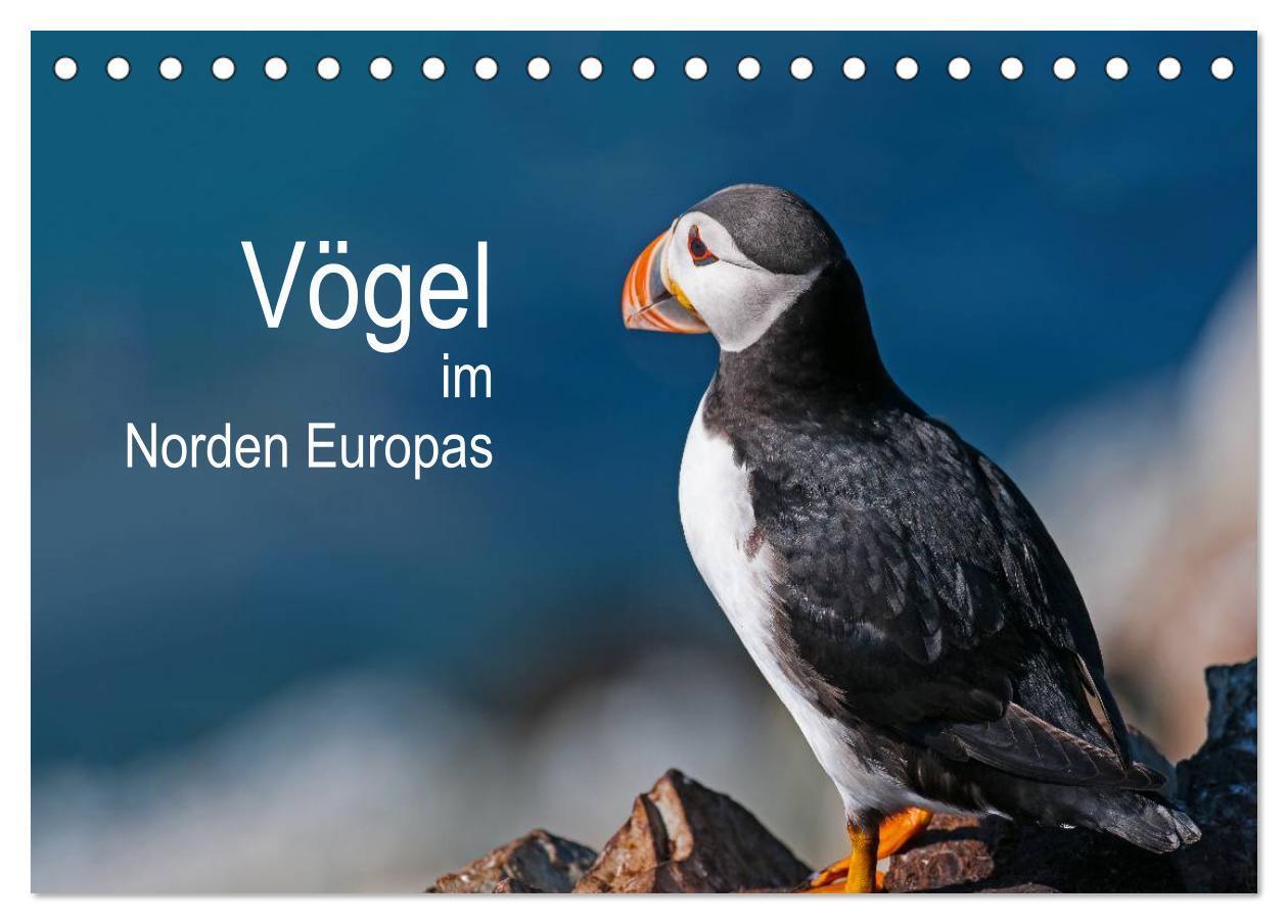 Cover: 9783435676323 | Vögel im Norden Europas (Tischkalender 2025 DIN A5 quer), CALVENDO...