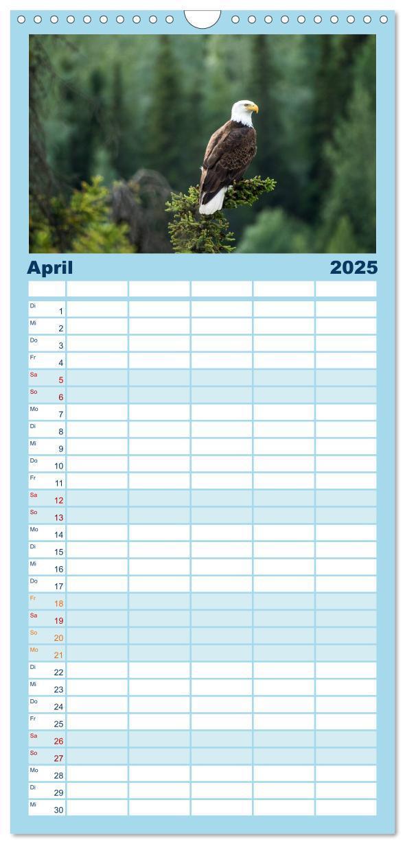 Bild: 9783457121344 | Familienplaner 2025 - Der Alaska Kalender mit 5 Spalten...