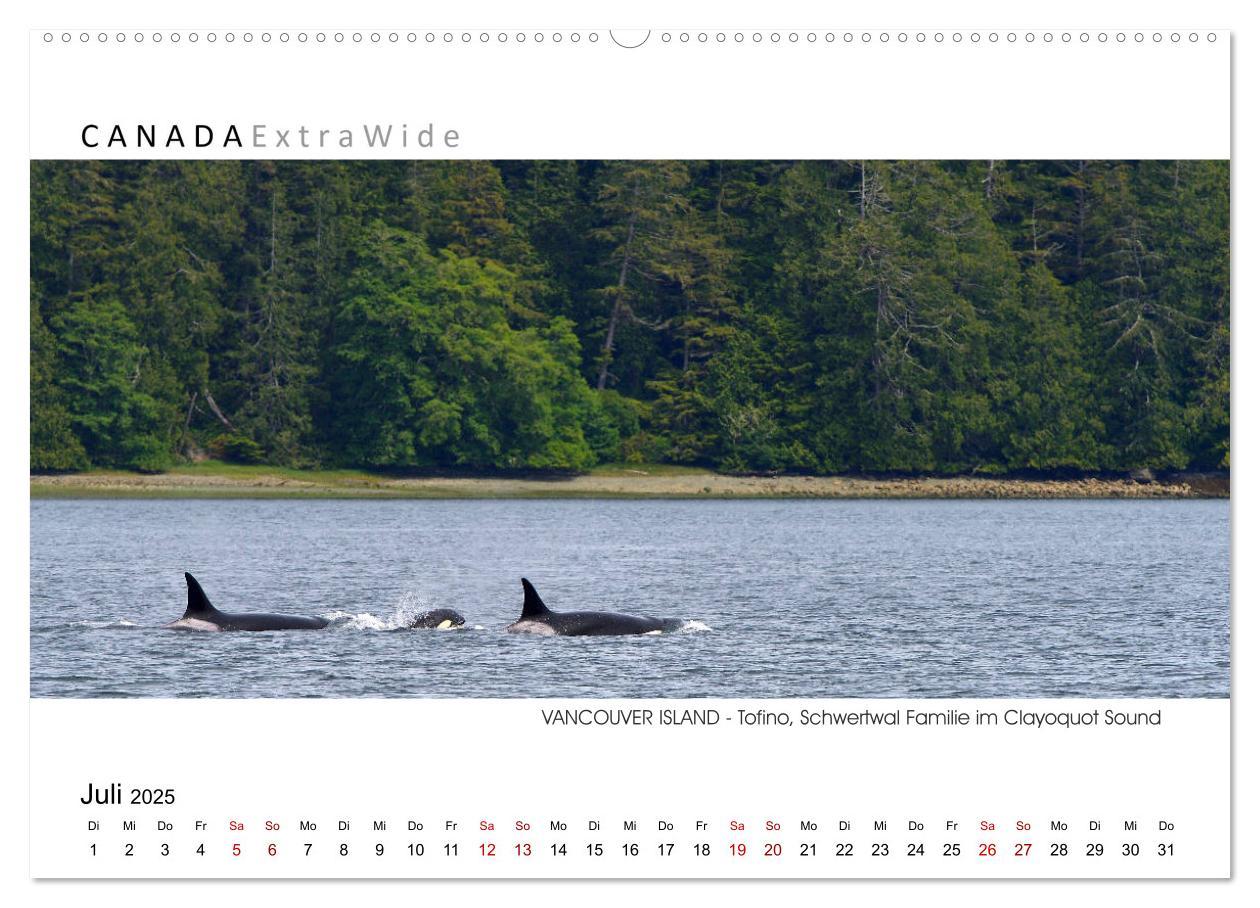 Bild: 9783383791321 | Vancouver Island Panoramabilder (Wandkalender 2025 DIN A2 quer),...