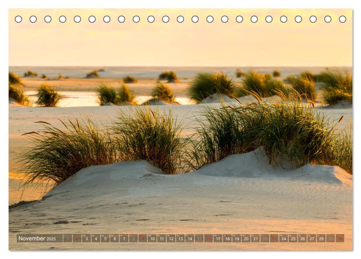 Bild: 9783435270453 | Amrum Insel am Wattenmeer (Tischkalender 2025 DIN A5 quer),...