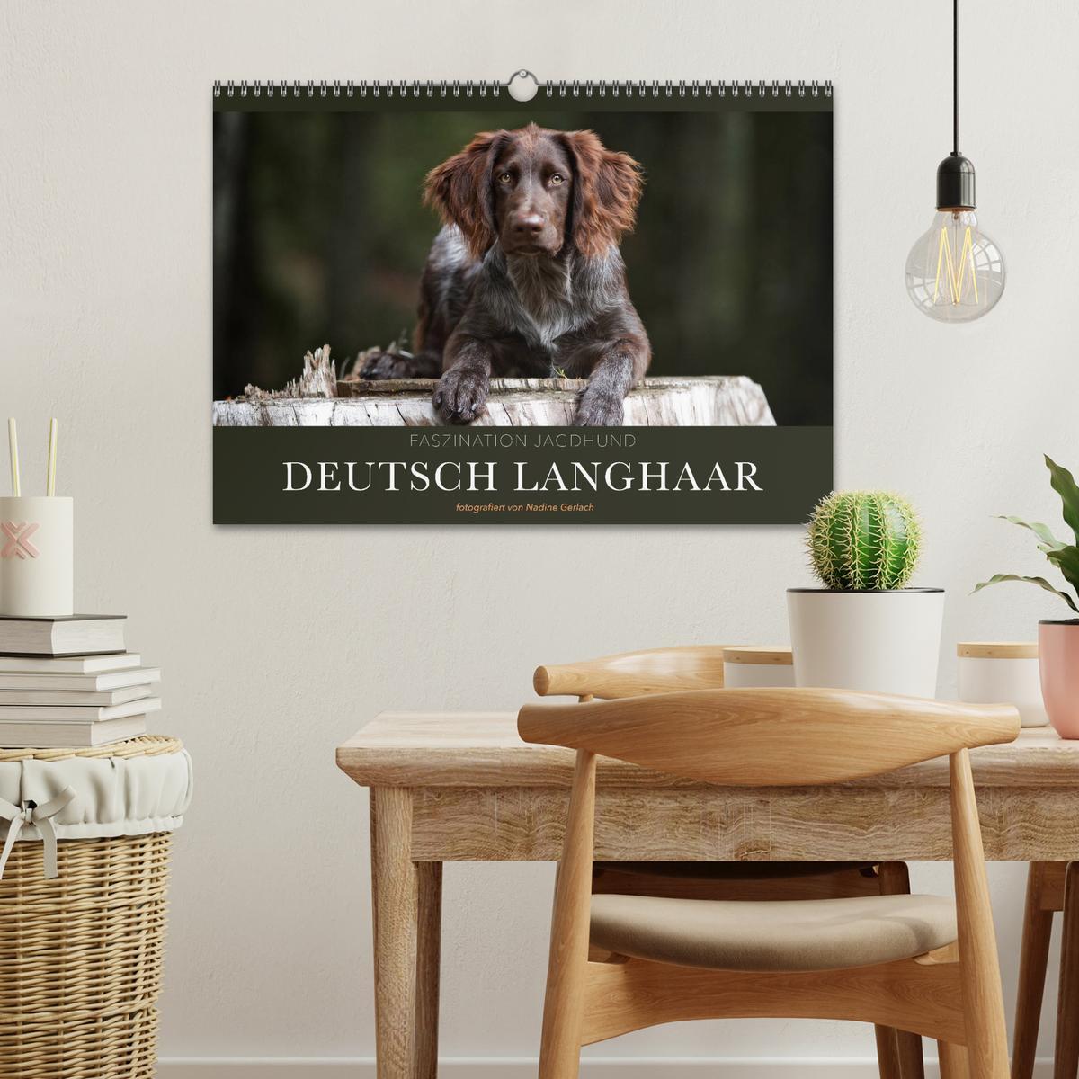 Bild: 9783435174126 | Faszination Jagdhund - Deutsch Langhaar (Wandkalender 2025 DIN A3...