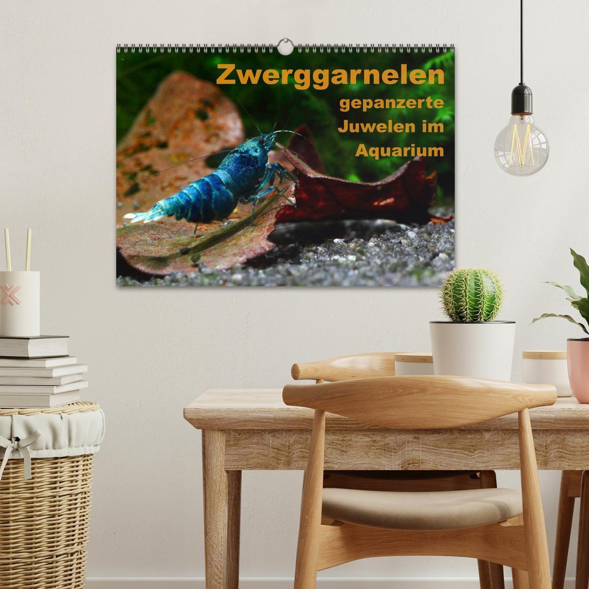 Bild: 9783435561582 | Zwerggarnelen - gepanzerte Juwelen im Aquarium (Wandkalender 2025...