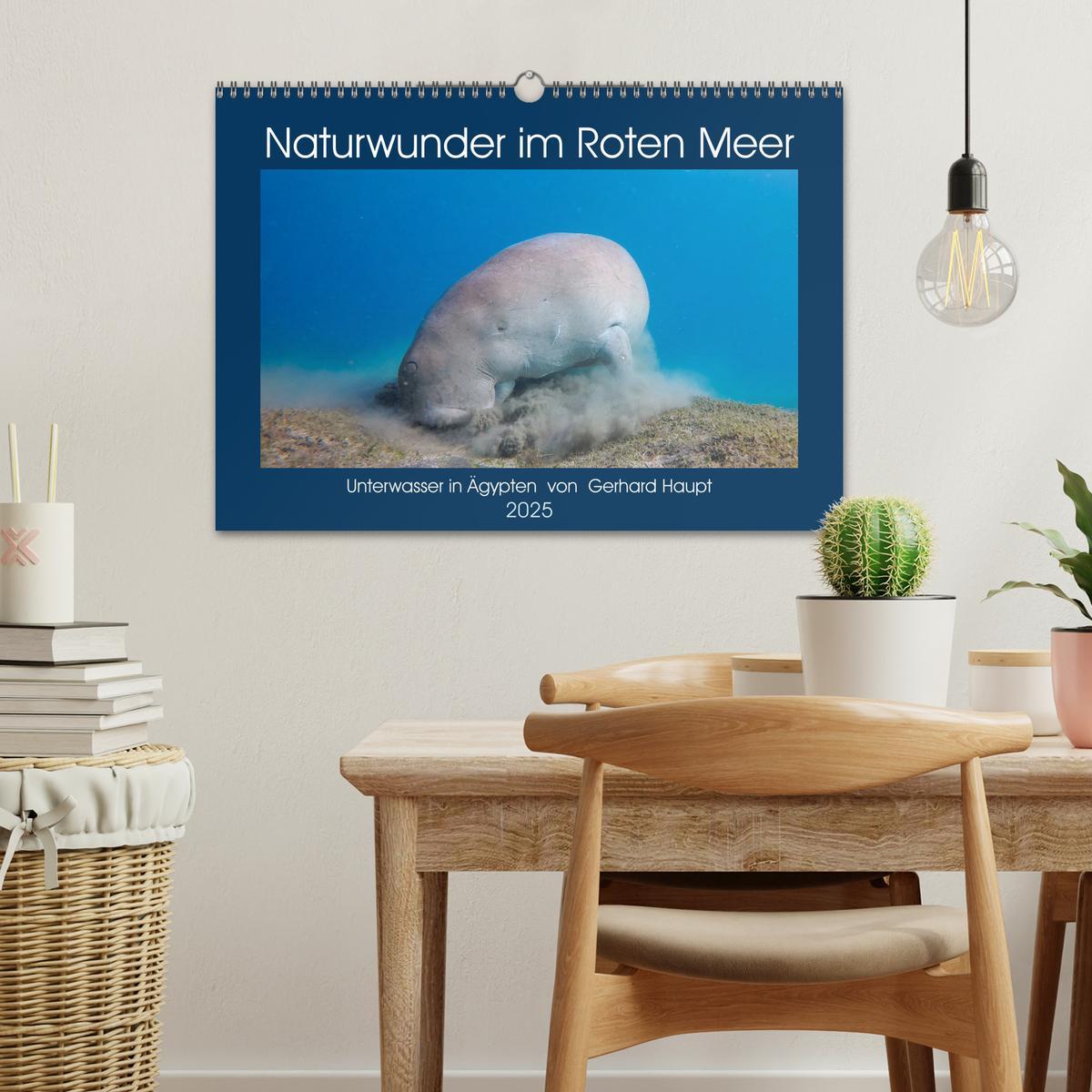 Bild: 9783435096312 | Naturwunder im Roten Meer (Wandkalender 2025 DIN A3 quer), CALVENDO...