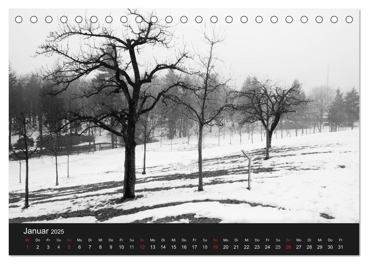 Bild: 9783435776924 | Bäume trees 2025 (Tischkalender 2025 DIN A5 quer), CALVENDO...