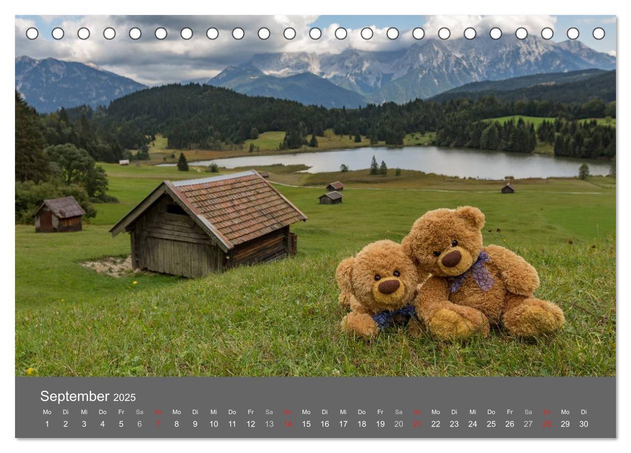 Bild: 9783435502172 | Travelling Teddy 2025 (Tischkalender 2025 DIN A5 quer), CALVENDO...