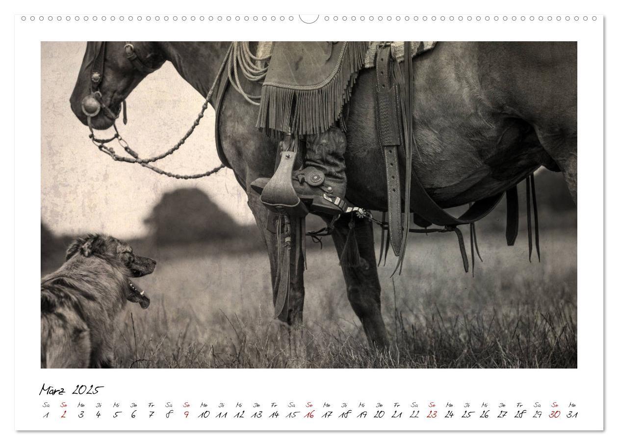 Bild: 9783435442676 | Mecklenburgs Wilder Westen (hochwertiger Premium Wandkalender 2025...