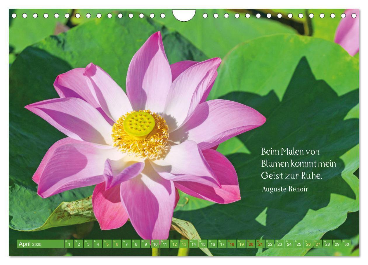 Bild: 9783383855191 | Natur-Meditationen - Nimm Dir Zeit (Wandkalender 2025 DIN A4 quer),...