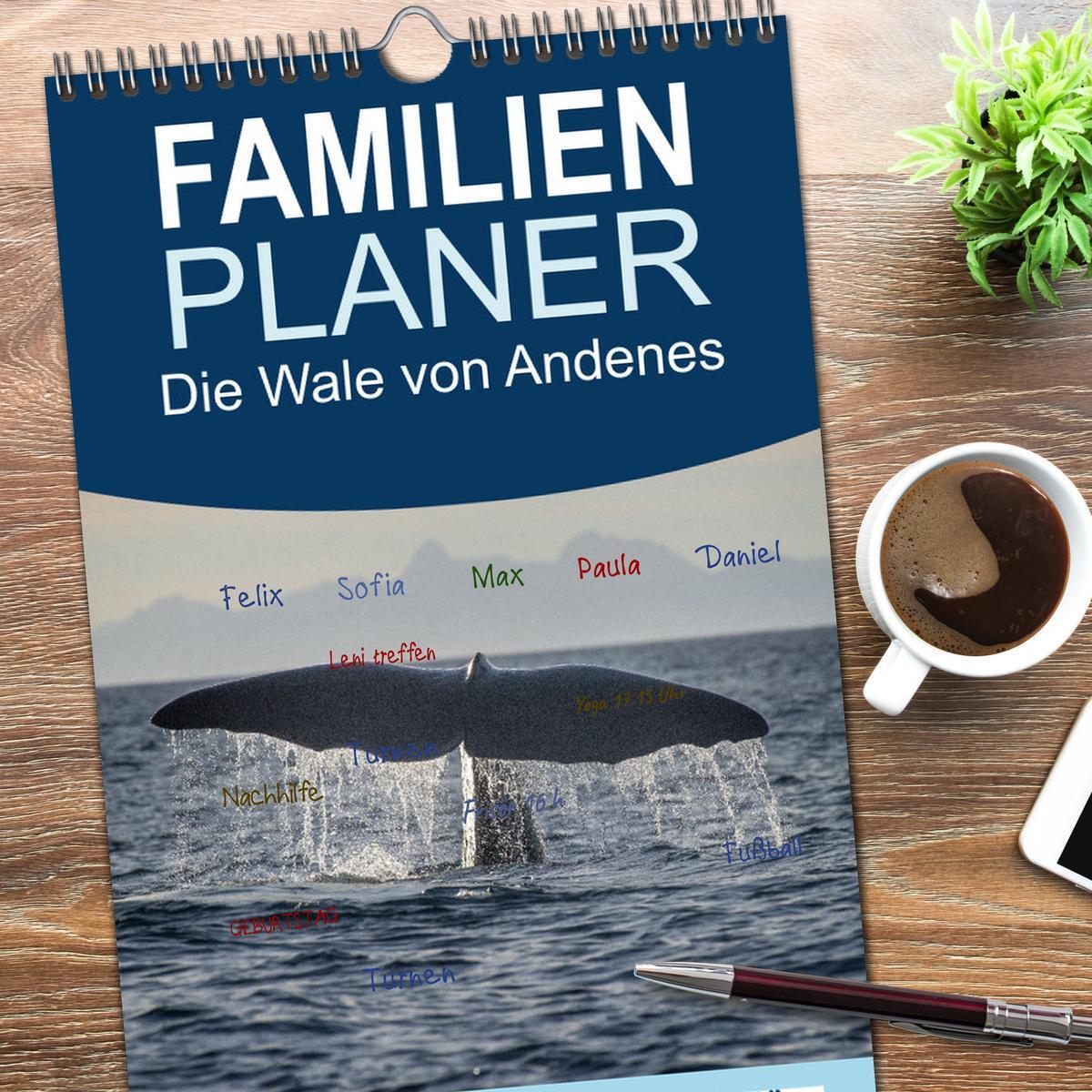 Bild: 9783457096642 | Familienplaner 2025 - Die Wale von Andenes mit 5 Spalten...