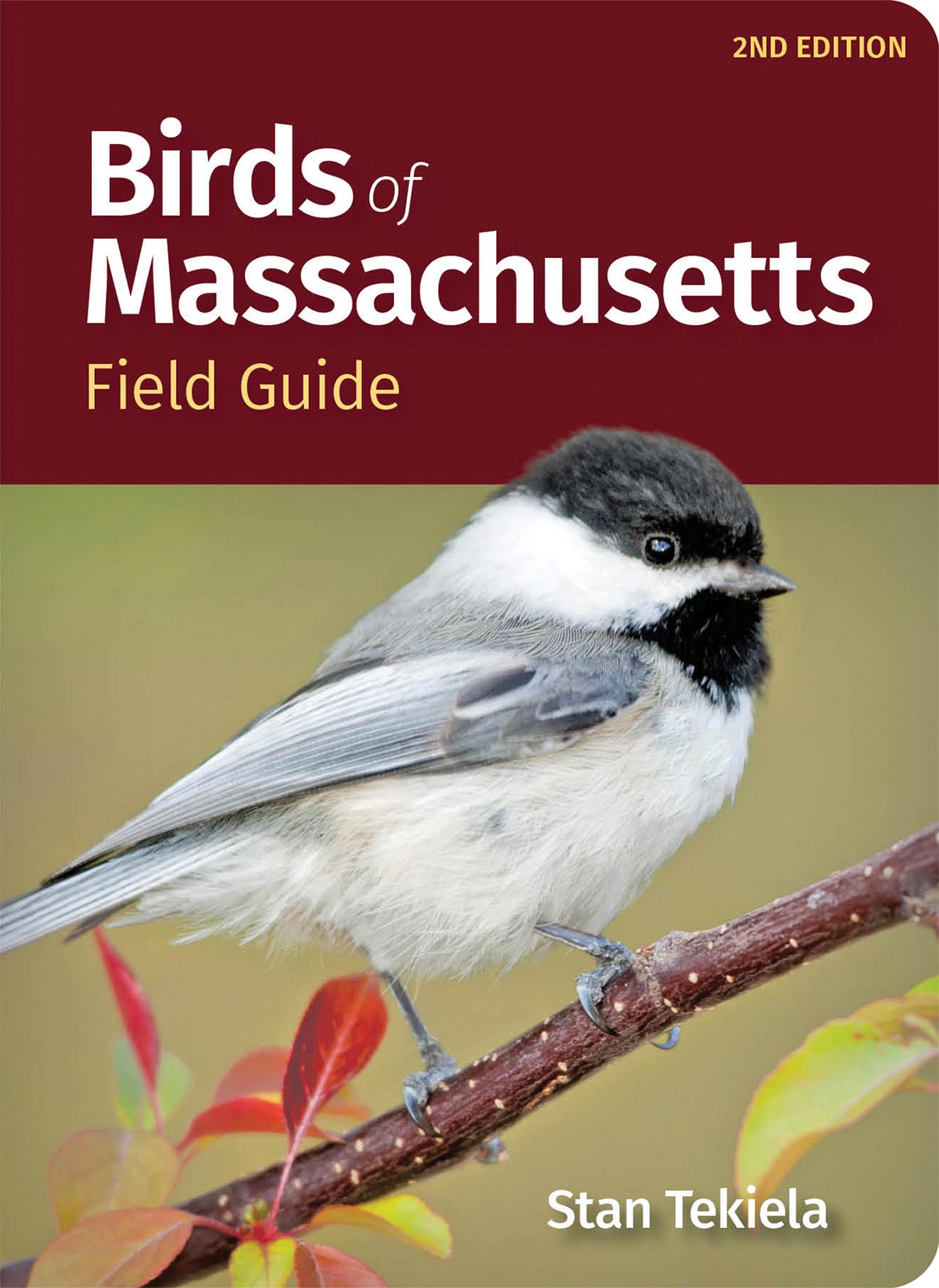 Cover: 9781647554033 | Birds of Massachusetts Field Guide | Stan Tekiela | Taschenbuch | 2023