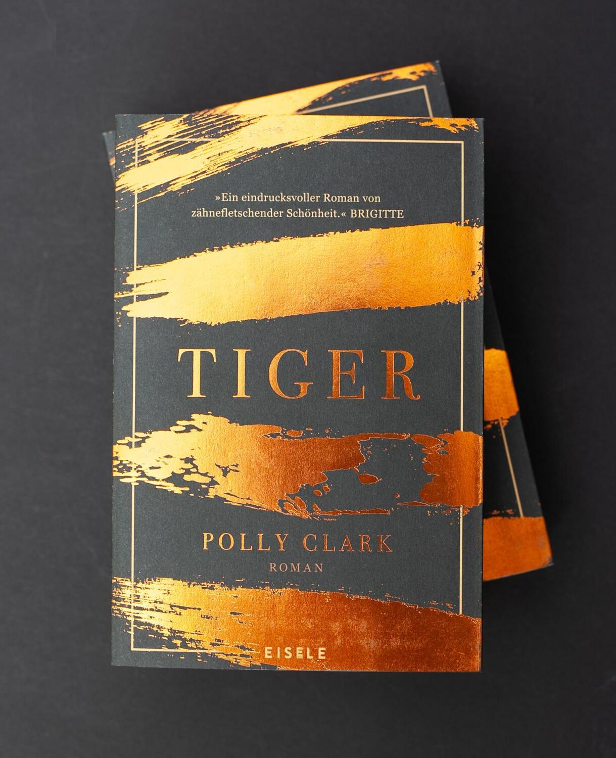 Bild: 9783961611195 | Tiger | Polly Clark | Taschenbuch | 432 S. | Deutsch | 2021