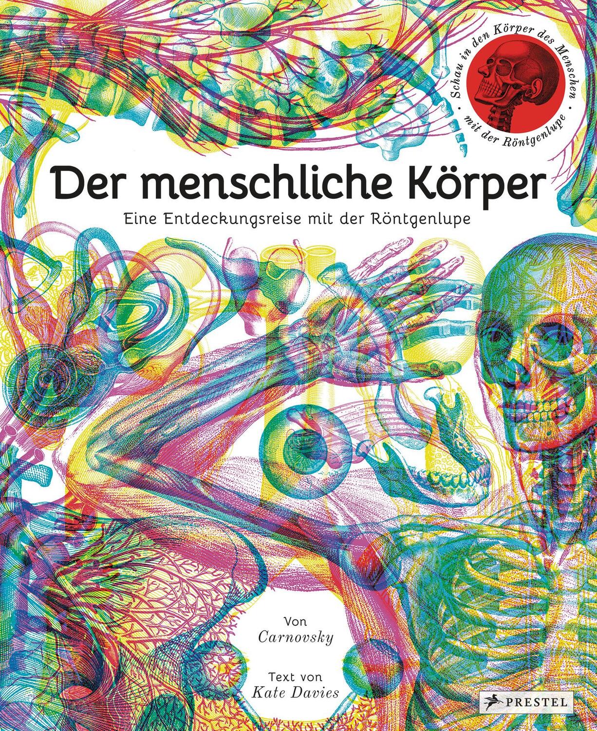 Cover: 9783791373102 | Der menschliche Körper | Eine Entdeckungsreise mit der Röntgenlupe