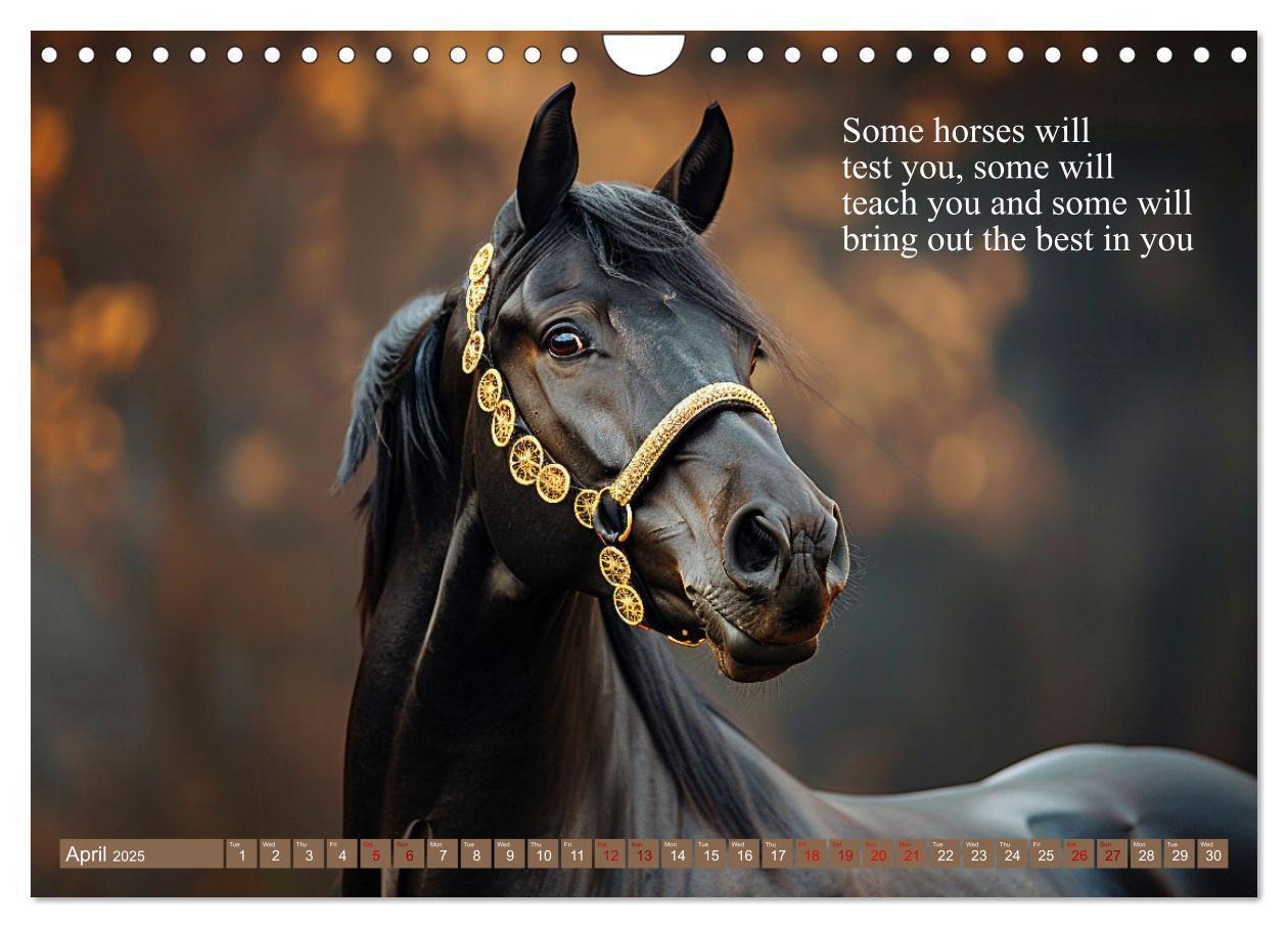 Bild: 9781325980727 | A Horse Makes You Complete (Wall Calendar 2025 DIN A4 landscape),...