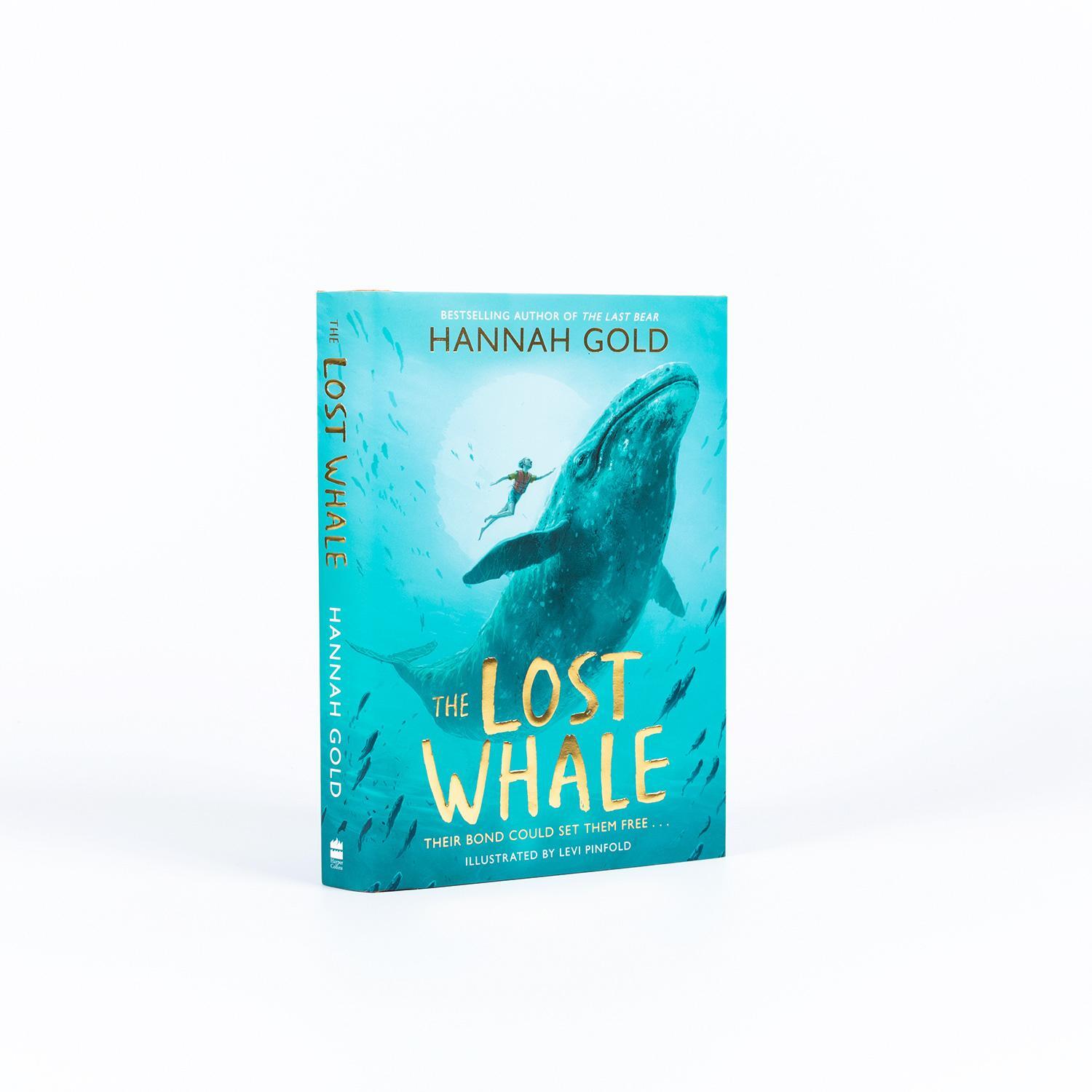 Bild: 9780008412968 | The Lost Whale | Hannah Gold | Taschenbuch | 336 S. | Englisch | 2023