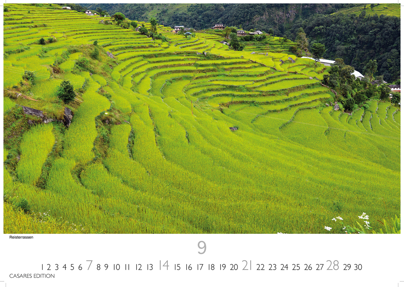 Bild: 9781835242360 | Nepal 2025 L 35x50cm | Kalender | 14 S. | Deutsch | 2025