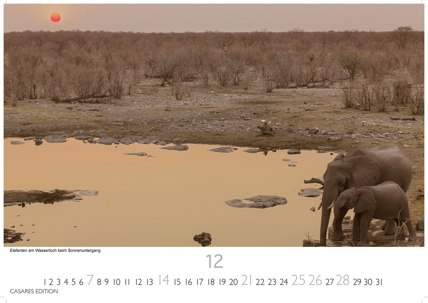 Bild: 9781835240625 | Namibia 2025 L 35x50cm | Kalender | 14 S. | Deutsch | 2025