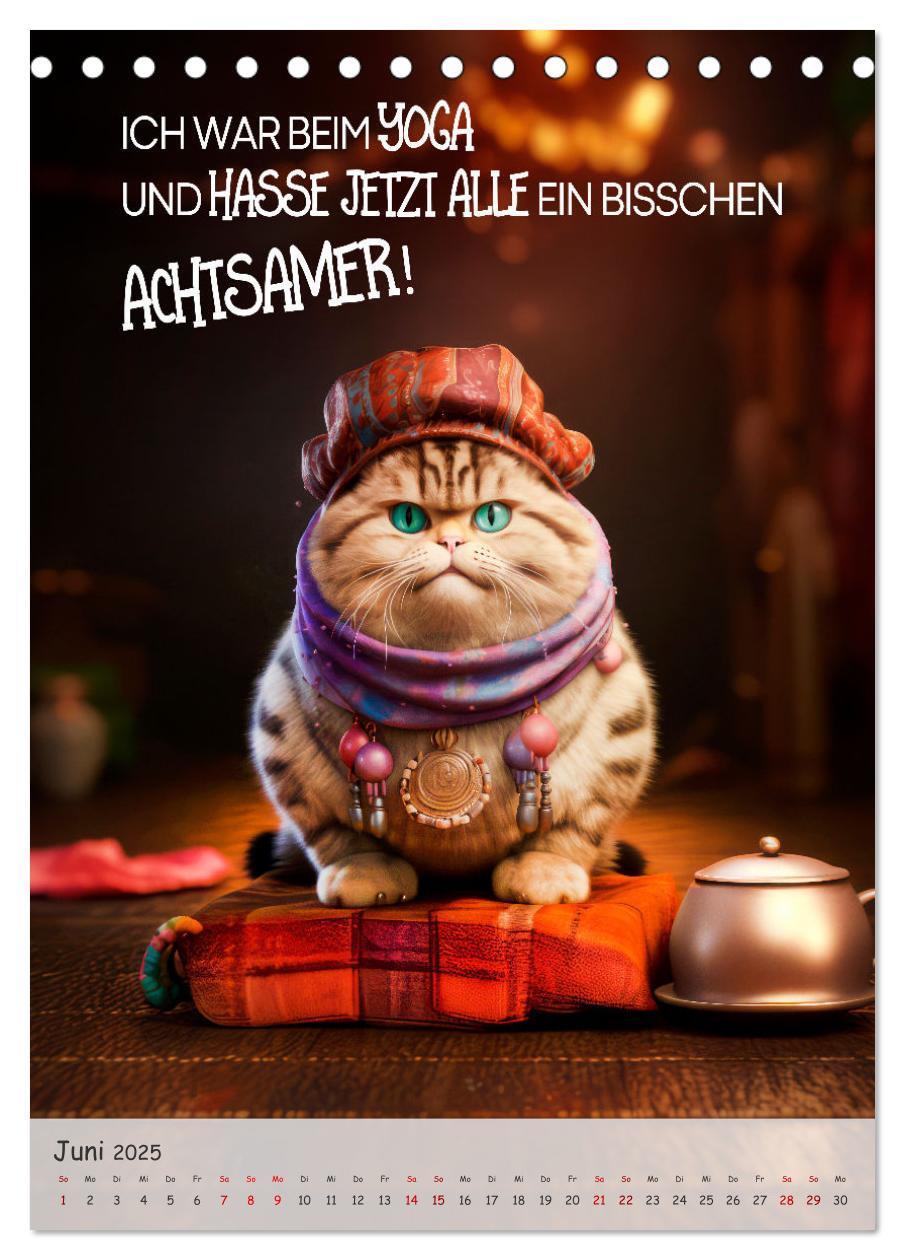 Bild: 9783383771507 | COOLE KATZEN Sprücheklopfer (Tischkalender 2025 DIN A5 hoch),...