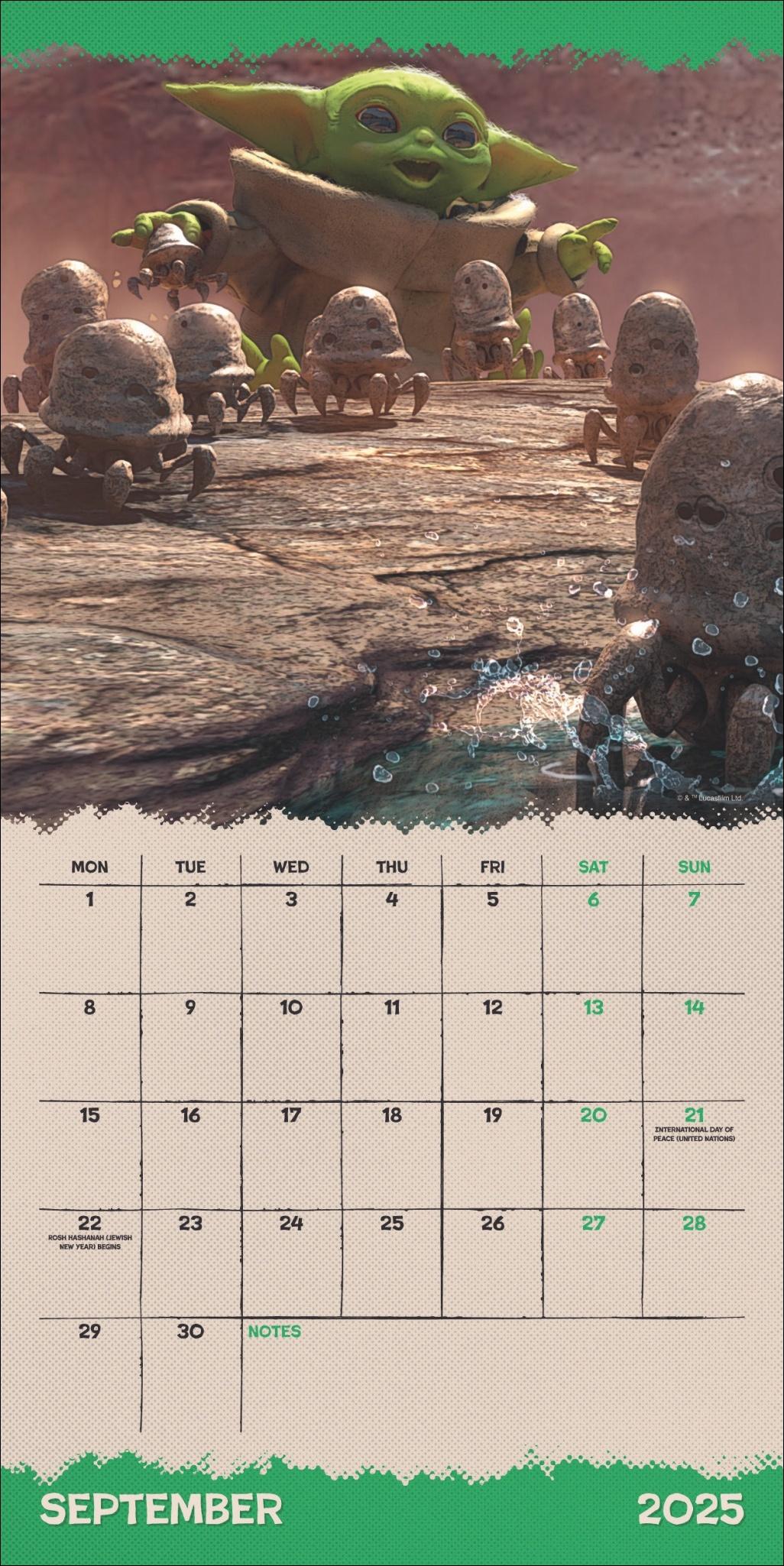 Bild: 9783840196683 | The Mandalorian Broschurkalender 2025 | Heye | Kalender | 28 S. | 2025