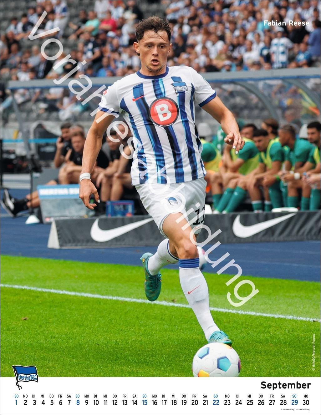 Bild: 9783756405411 | Hertha BSC Posterkalender 2025 | Heye | Kalender | Spiralbindung