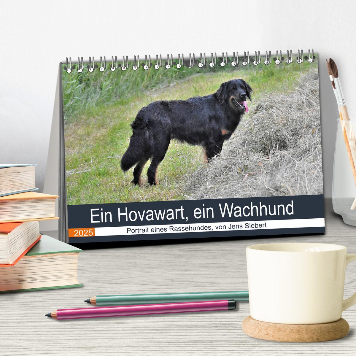 Bild: 9783435149056 | Ein Hovawart, ein Wachhund (Tischkalender 2025 DIN A5 quer),...