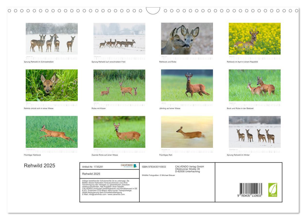 Bild: 9783435110933 | Rehwild 2025 (Wandkalender 2025 DIN A3 quer), CALVENDO Monatskalender