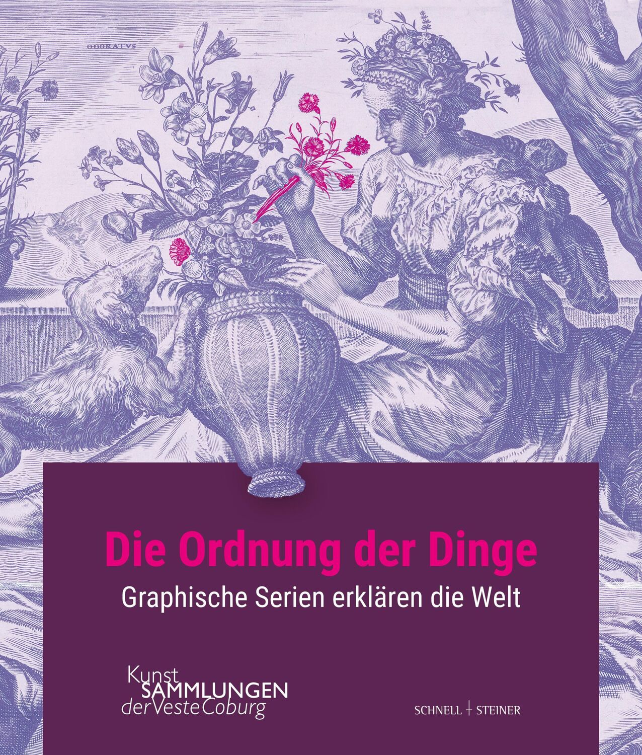 Cover: 9783795437909 | Die Ordnung der Dinge | Graphische Serien erklären die Welt | Knöll