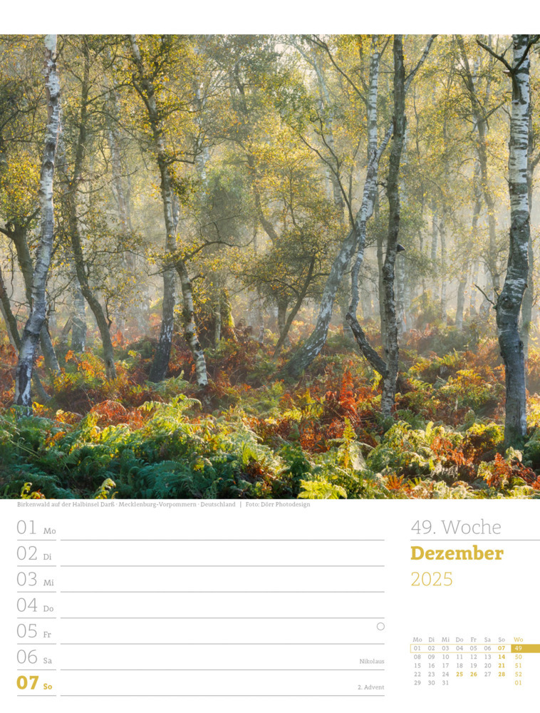 Bild: 9783838425979 | Unser Wald - Wochenplaner Kalender 2025 | Ackermann Kunstverlag | 2025