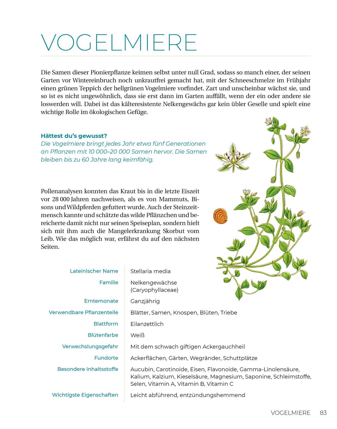 Bild: 9783910801103 | Geliebtes Unkraut | smarticular Verlag | Taschenbuch | Kostbare Natur