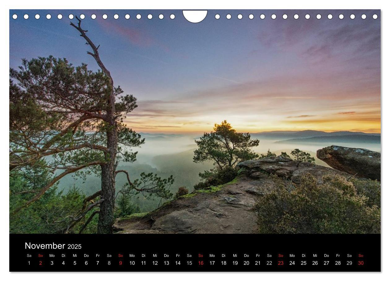 Bild: 9783435592883 | Mystischer Pfälzer Wald (Wandkalender 2025 DIN A4 quer), CALVENDO...