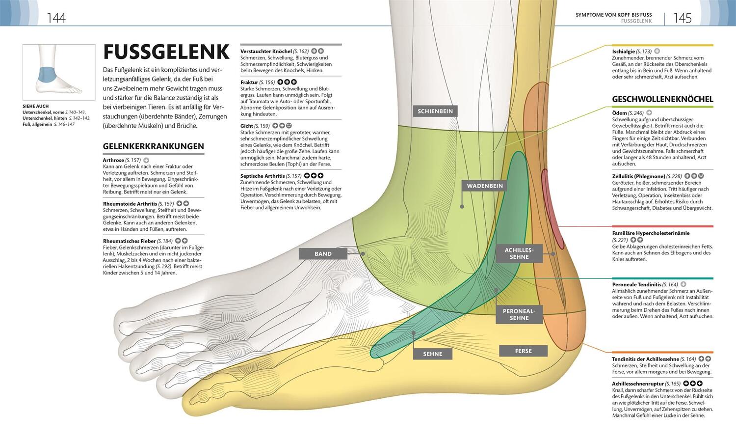 Bild: 9783831046911 | Mein Gesundheits-Check | Dina Kaufman (u. a.) | Taschenbuch | 256 S.