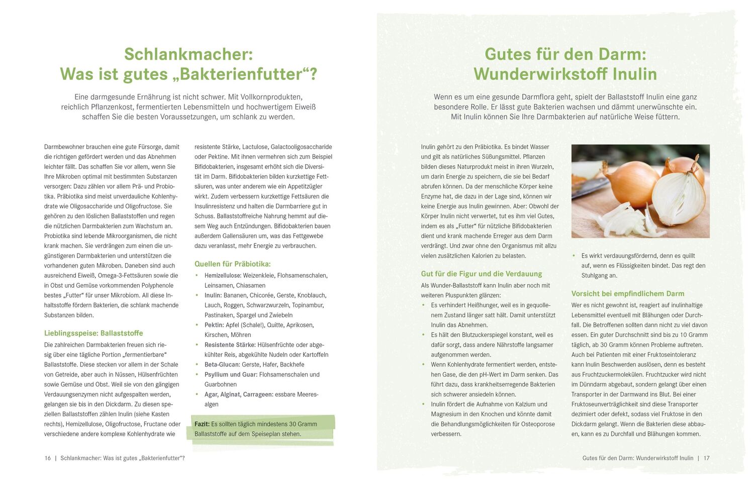 Bild: 9783965842861 | Die Ernährungs-Docs - Gesund abnehmen mit der Darm-fit-Formel | Buch