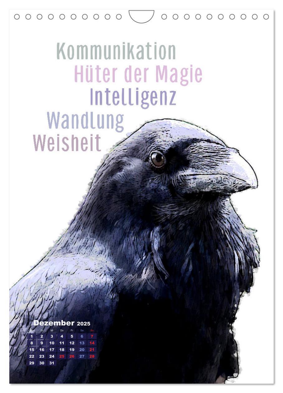 Bild: 9783457137437 | Welche spirituelle Bedeutung hat dieser Vogel? (Wandkalender 2025...