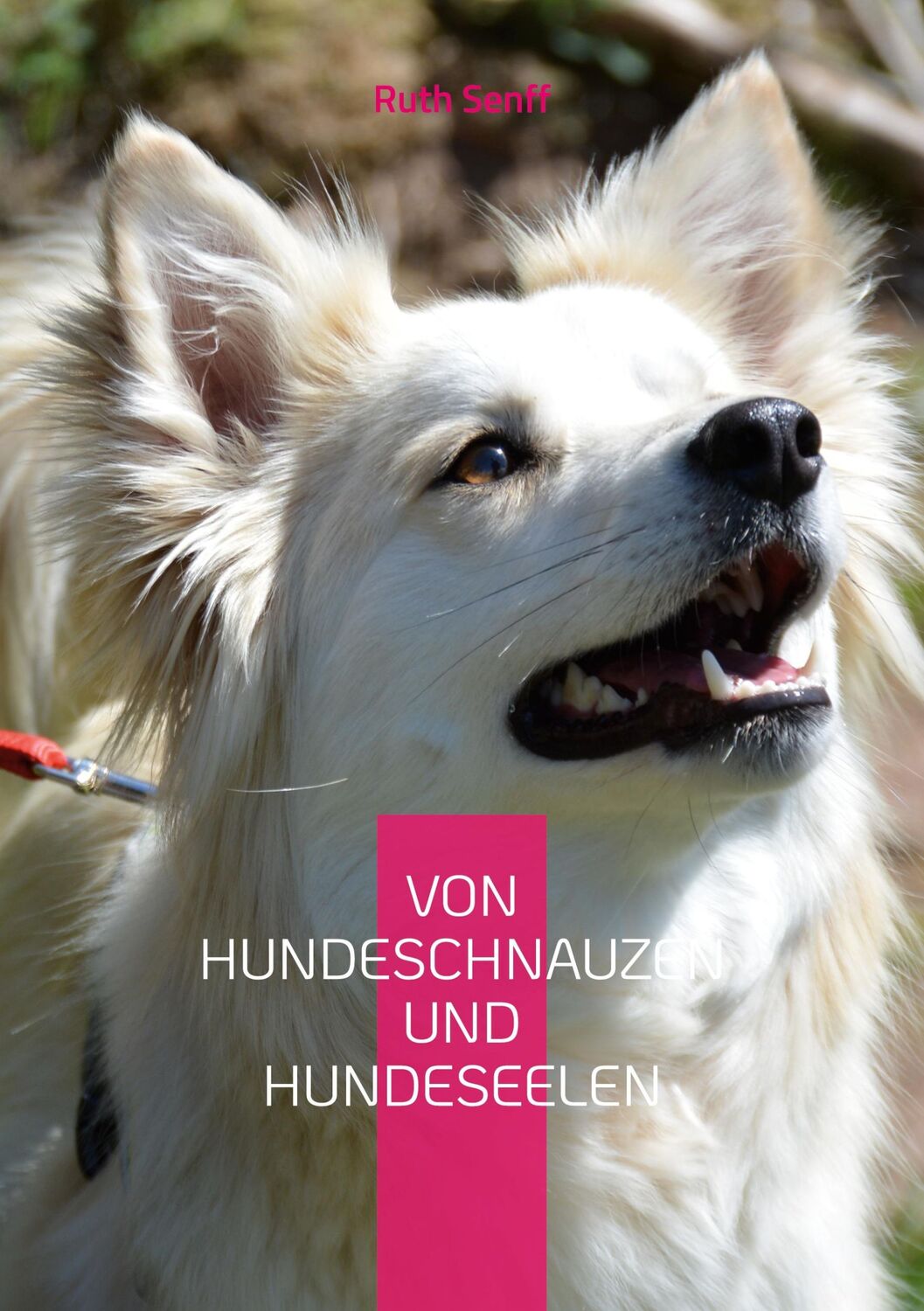 Cover: 9783756842100 | Von Hundeschnauzen und Hundeseelen | Ruth Senff | Taschenbuch | 120 S.