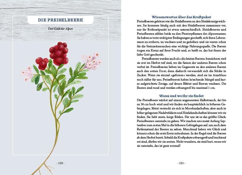 Bild: 9783710402074 | Unser heimisches Superfood | Elisabeth Dießl (u. a.) | Buch | 180 S.