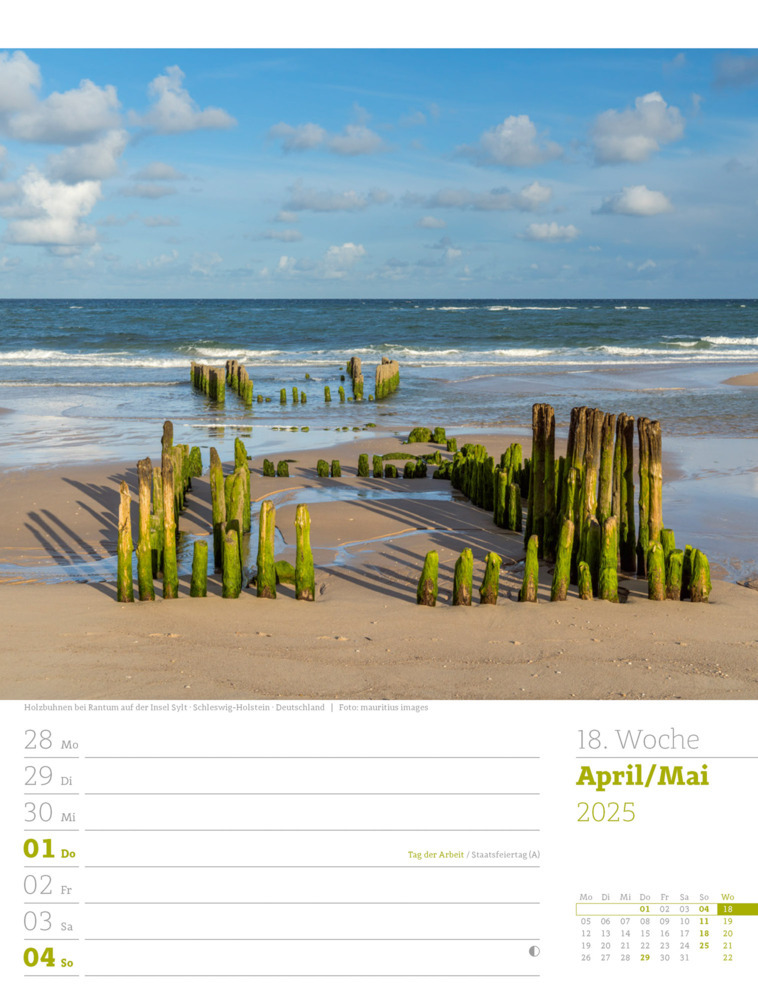 Bild: 9783838435039 | Am Meer - Wochenplaner Kalender 2025 | Ackermann Kunstverlag | 56 S.