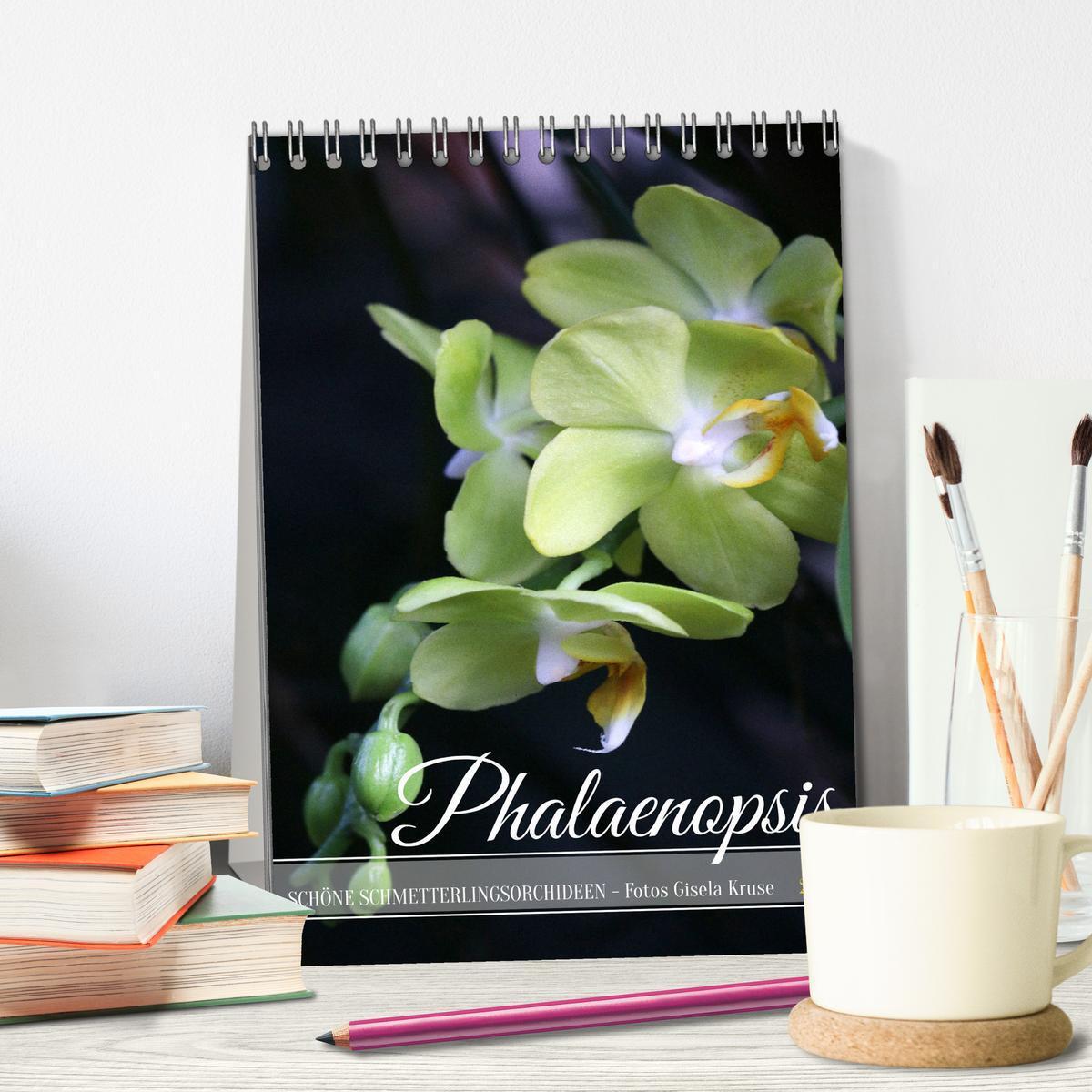 Bild: 9783435843077 | Phalaenopsis - Schöne Schmetterlingsorchideen (Tischkalender 2025...