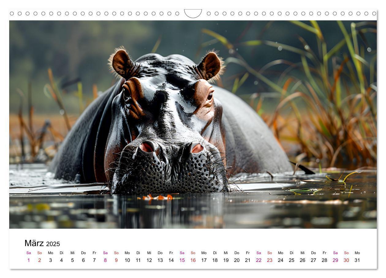 Bild: 9783457171899 | Flusspferde - Hippopotamus amphibius (Wandkalender 2025 DIN A3...