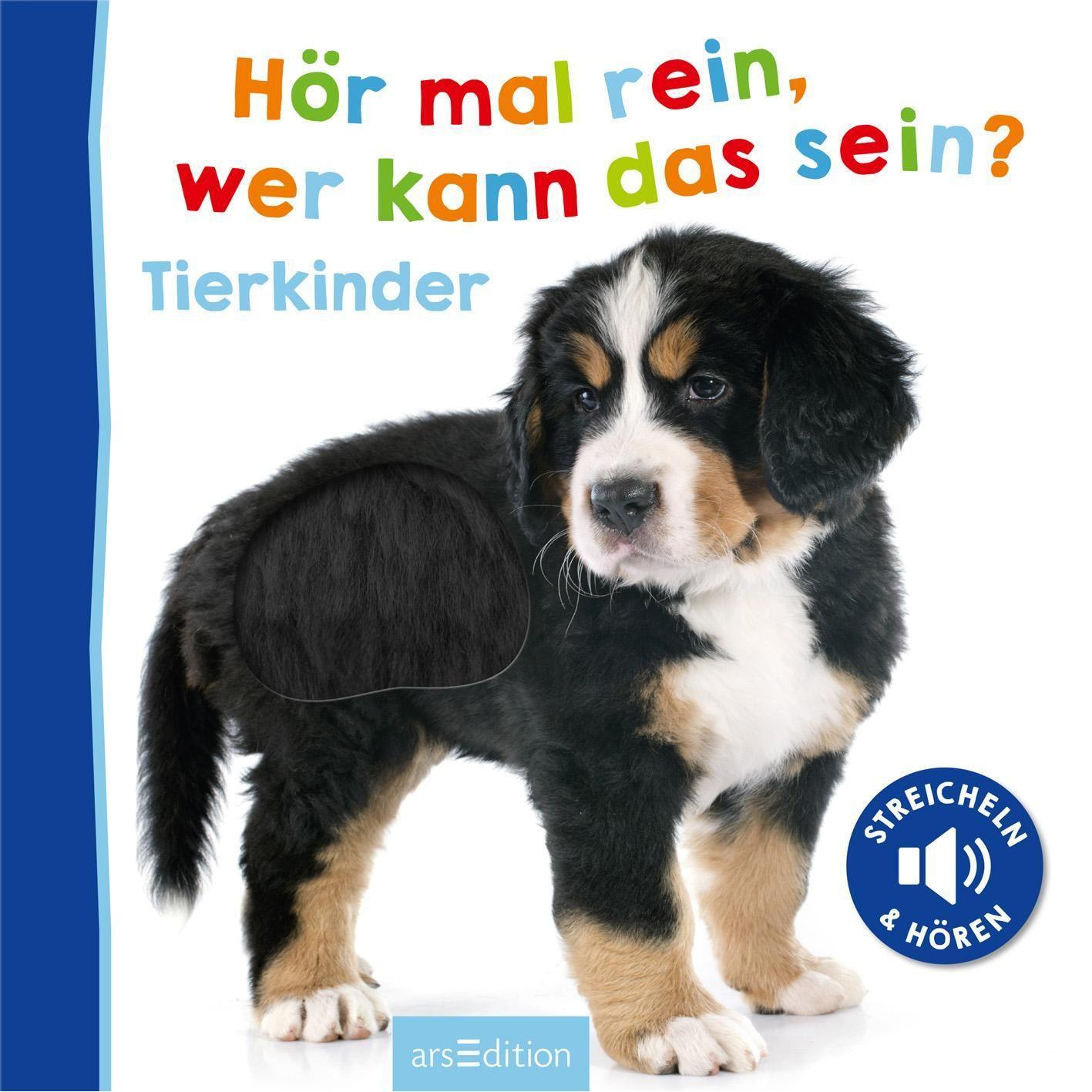 Bild: 9783845816784 | Hör mal rein, wer kann das sein? Tierkinder | Buch | 12 S. | Deutsch