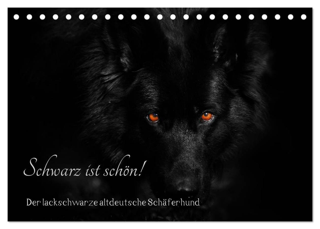 Cover: 9783435572564 | Schwarz ist schön! Der lackschwarze altdeutsche Schäferhund...